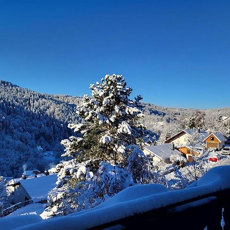 Grosse Ferienwohnung In Ruhiger Lage Mit Toller Aussicht In Triberg Triberg im Schwarzwald Bagian luar foto