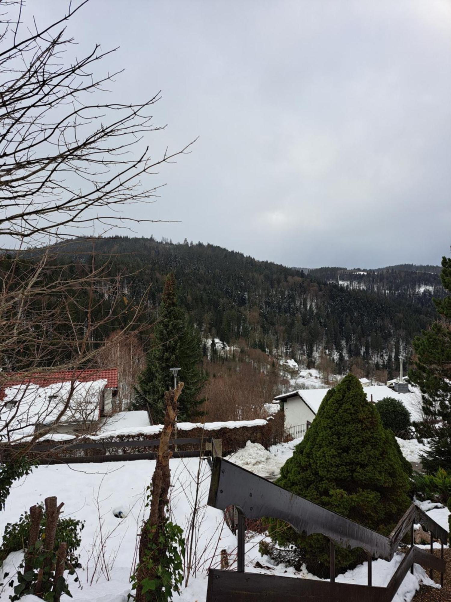 Grosse Ferienwohnung In Ruhiger Lage Mit Toller Aussicht In Triberg Triberg im Schwarzwald Bagian luar foto