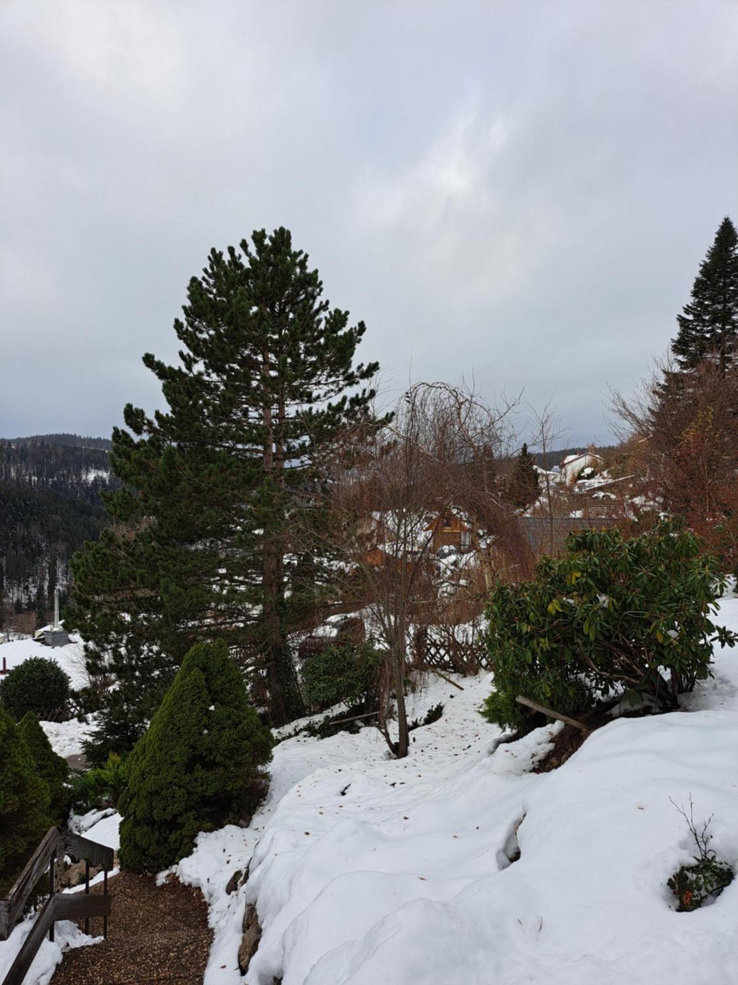 Grosse Ferienwohnung In Ruhiger Lage Mit Toller Aussicht In Triberg Triberg im Schwarzwald Bagian luar foto