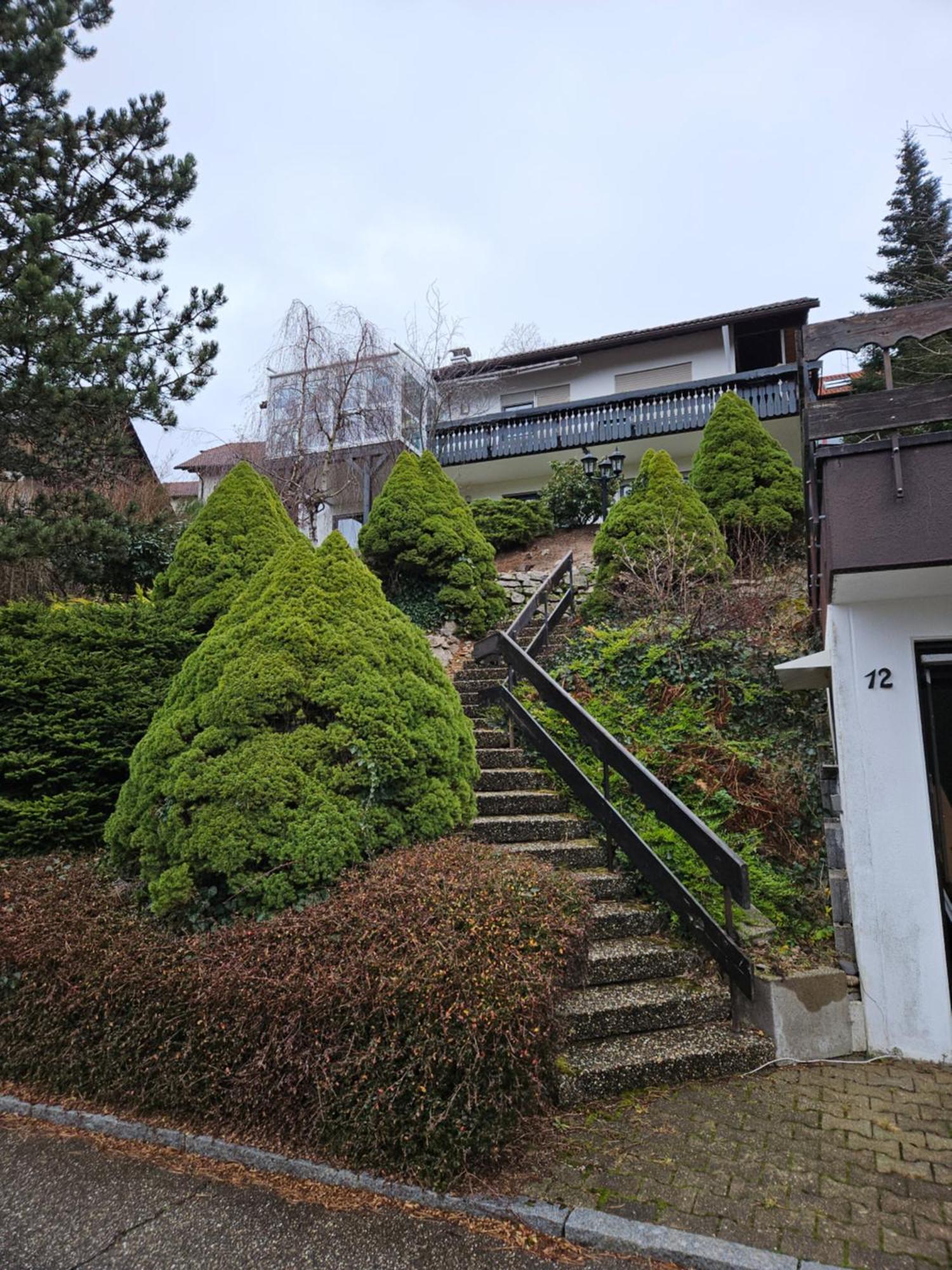 Grosse Ferienwohnung In Ruhiger Lage Mit Toller Aussicht In Triberg Triberg im Schwarzwald Bagian luar foto