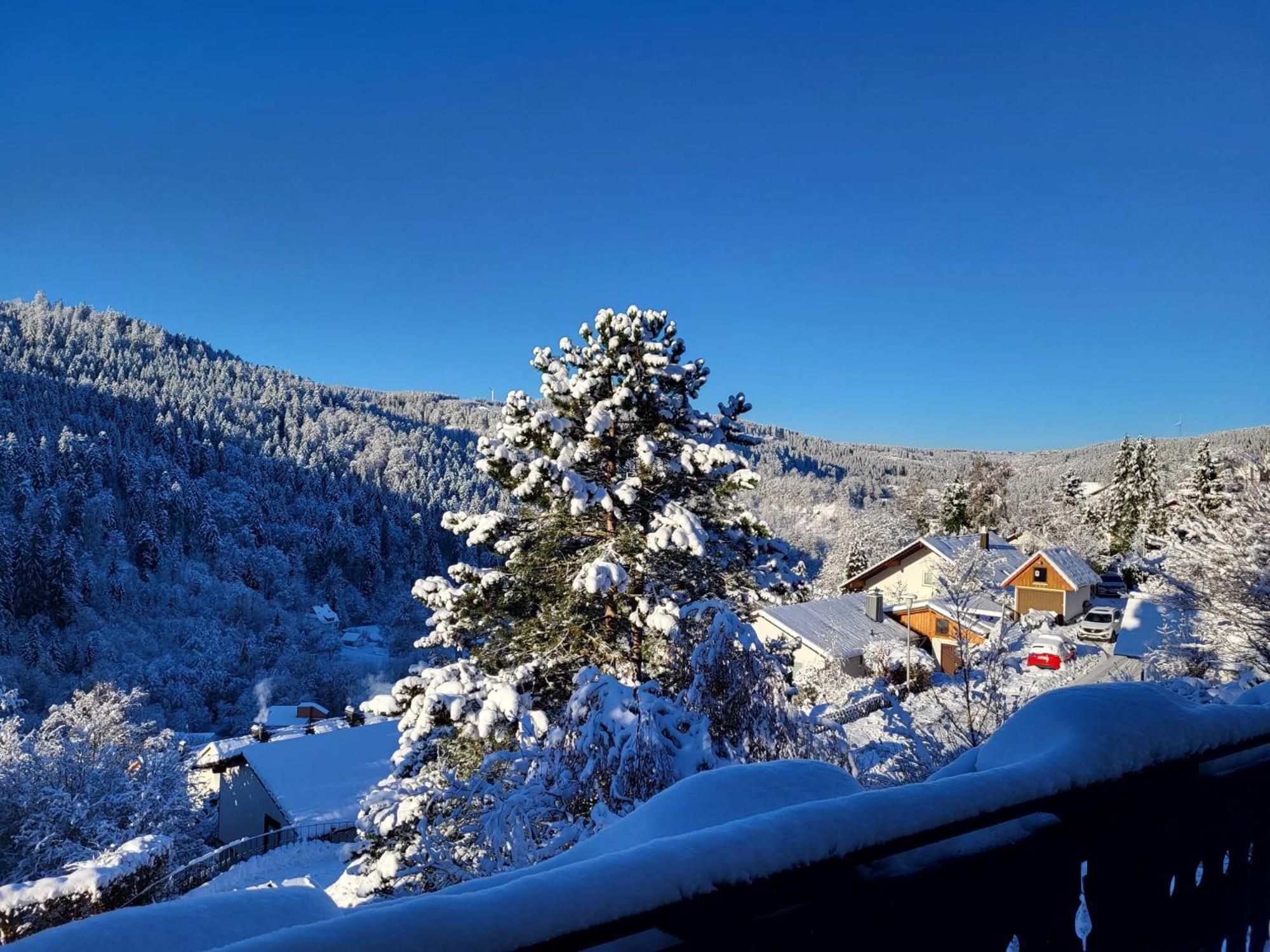 Grosse Ferienwohnung In Ruhiger Lage Mit Toller Aussicht In Triberg Triberg im Schwarzwald Bagian luar foto